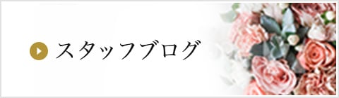 スタッフブログ