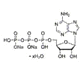 アデノシンリン酸二ナトリウム3つの作用